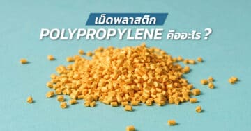 เม็ดพลาสติก Polypropylene