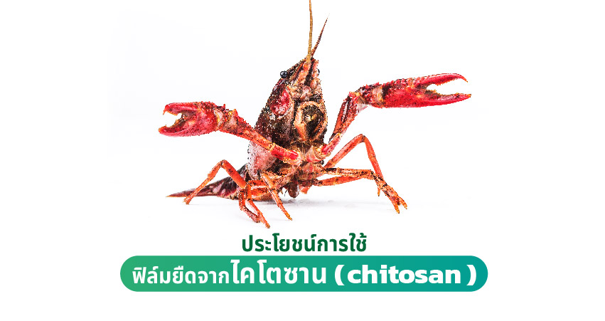 ไคโตซาน